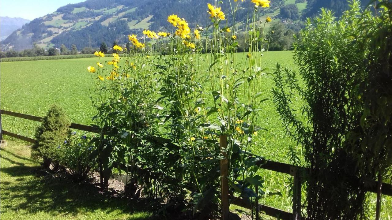 Bed and Breakfast Haus Kreidl Schwendau Exteriér fotografie